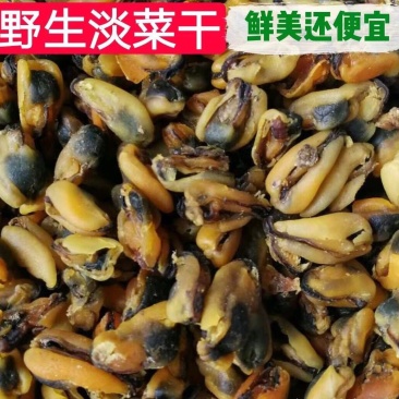 海虹干淡菜干贻贝，新货到家大量现货，支持一件代发