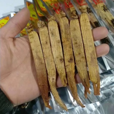《明轩鹿业》高丽参足干
