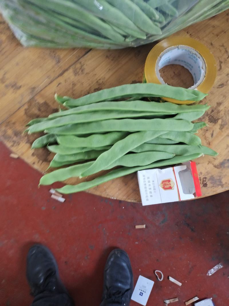 山东莘县精品芸豆扁青芸豆大量上市中质量好价格低廉