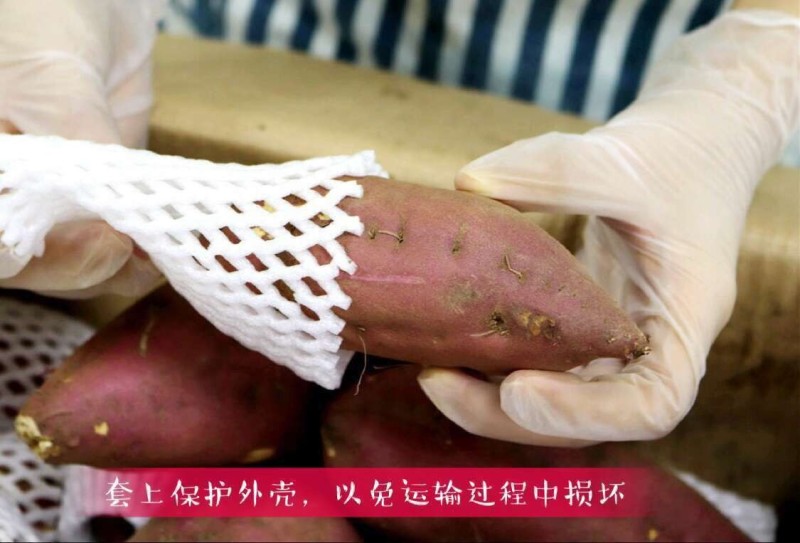 澄迈桥头地瓜鸣门金时板栗薯富硒地瓜红薯精品礼盒装一件代发