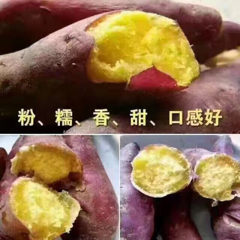 澄迈桥头地瓜鸣门金时板栗薯富硒地瓜红薯精品礼盒装一件代发