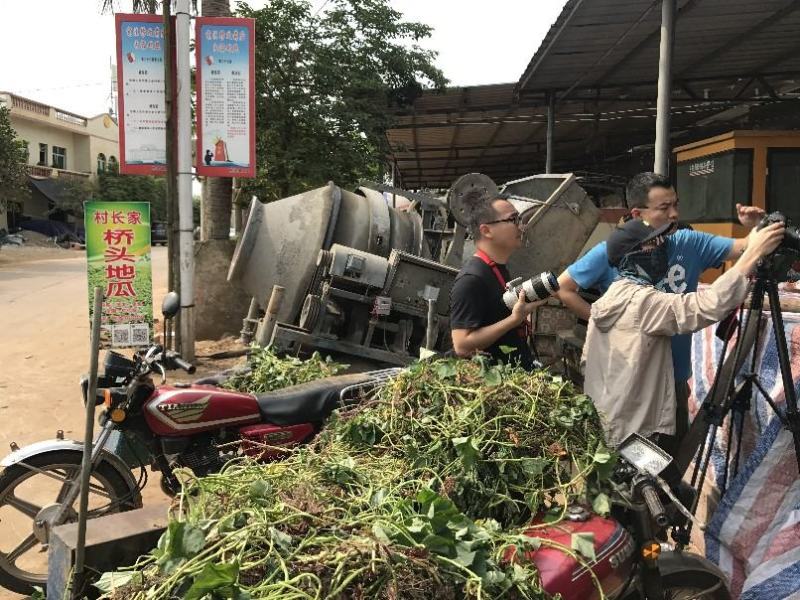澄迈桥头地瓜/鸣门金时/富硒地瓜/沙土地瓜精品礼盒装批发
