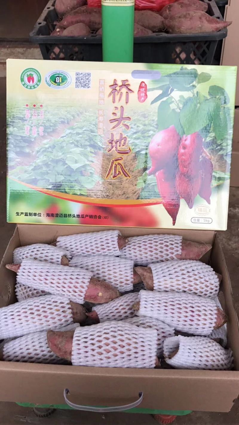 澄迈桥头地瓜/鸣门金时/富硒地瓜/沙土地瓜精品礼盒装批发