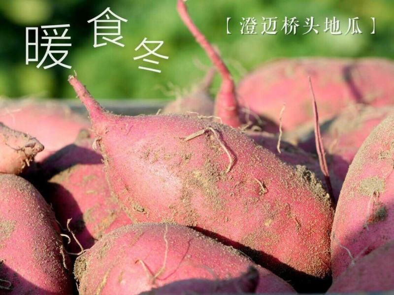 澄迈桥头地瓜/鸣门金时/富硒地瓜/沙土地瓜精品礼盒装批发