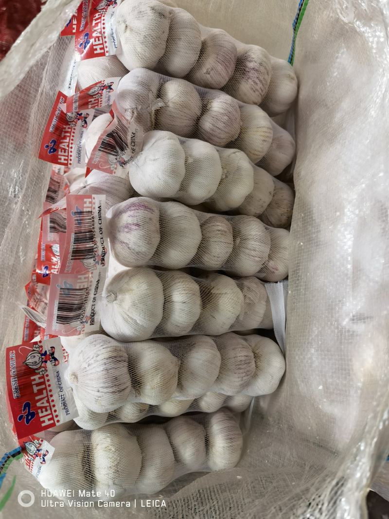 仓库冷库出租配资专业储存蒜苔大蒜大白菜储存吨位灵活