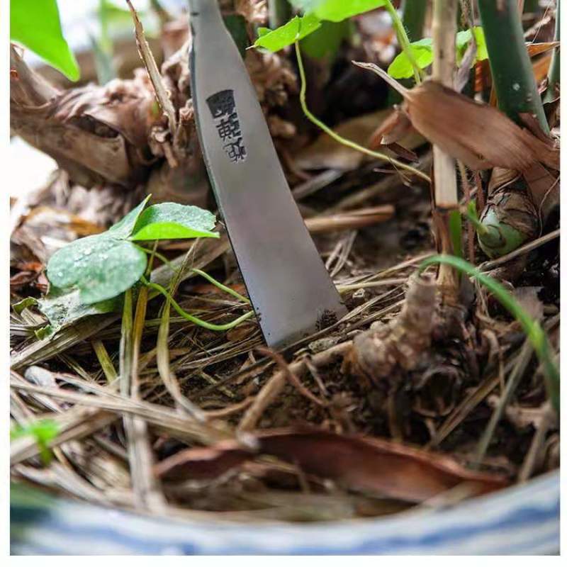 蒜铲挖药铲挖草铲锻打铲铲子挖菜铲弹簧钢铲包邮