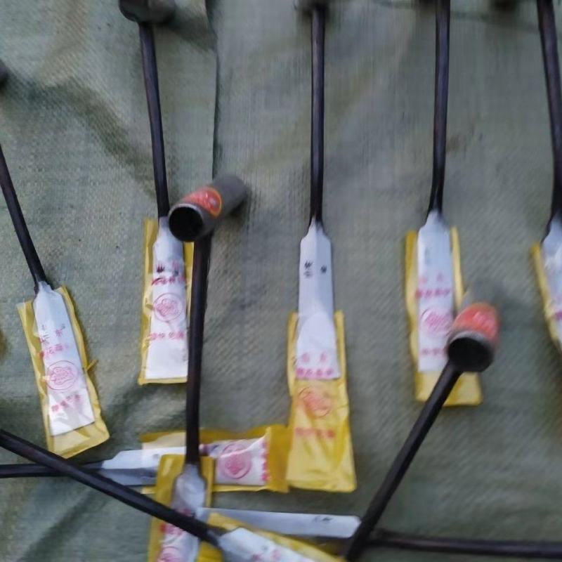 蒜铲挖药铲挖草铲锻打铲铲子挖菜铲弹簧钢铲包邮