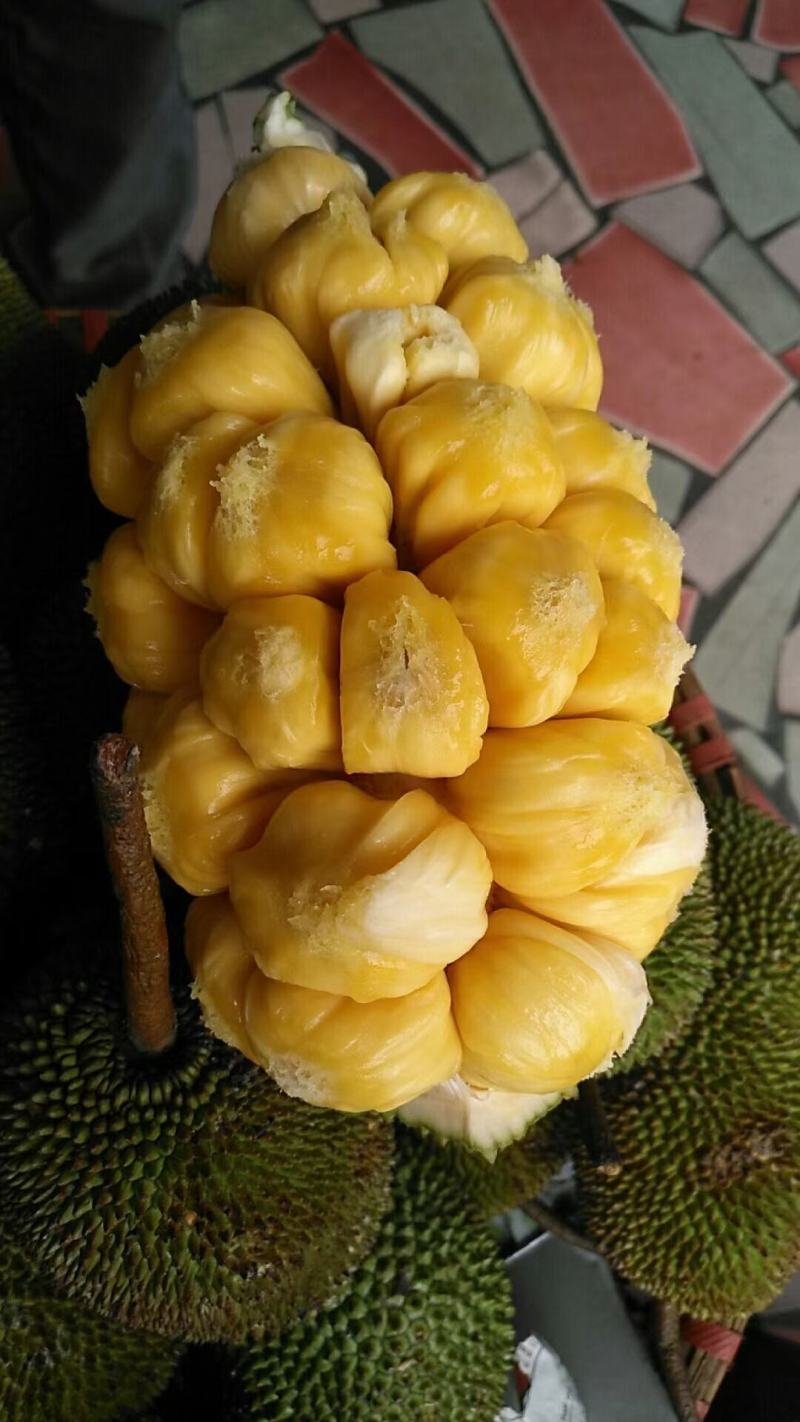 越南现摘迷你菠萝蜜榴莲蜜尖蜜拉质量保证甜糯果园直发