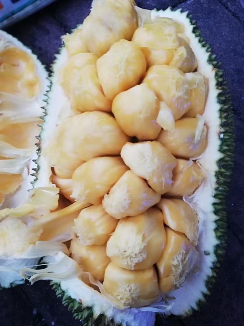 越南现摘迷你菠萝蜜榴莲蜜尖蜜拉质量保证甜糯果园直发