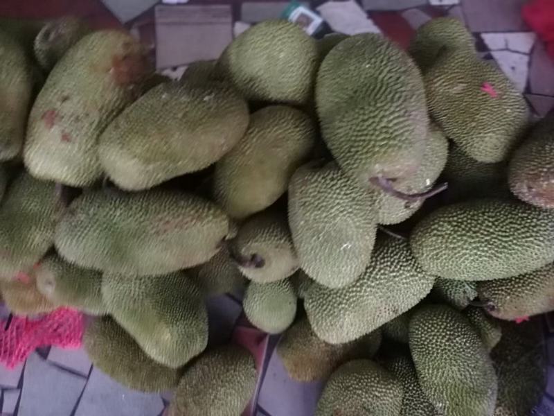 越南现摘迷你菠萝蜜榴莲蜜尖蜜拉质量保证甜糯果园直发