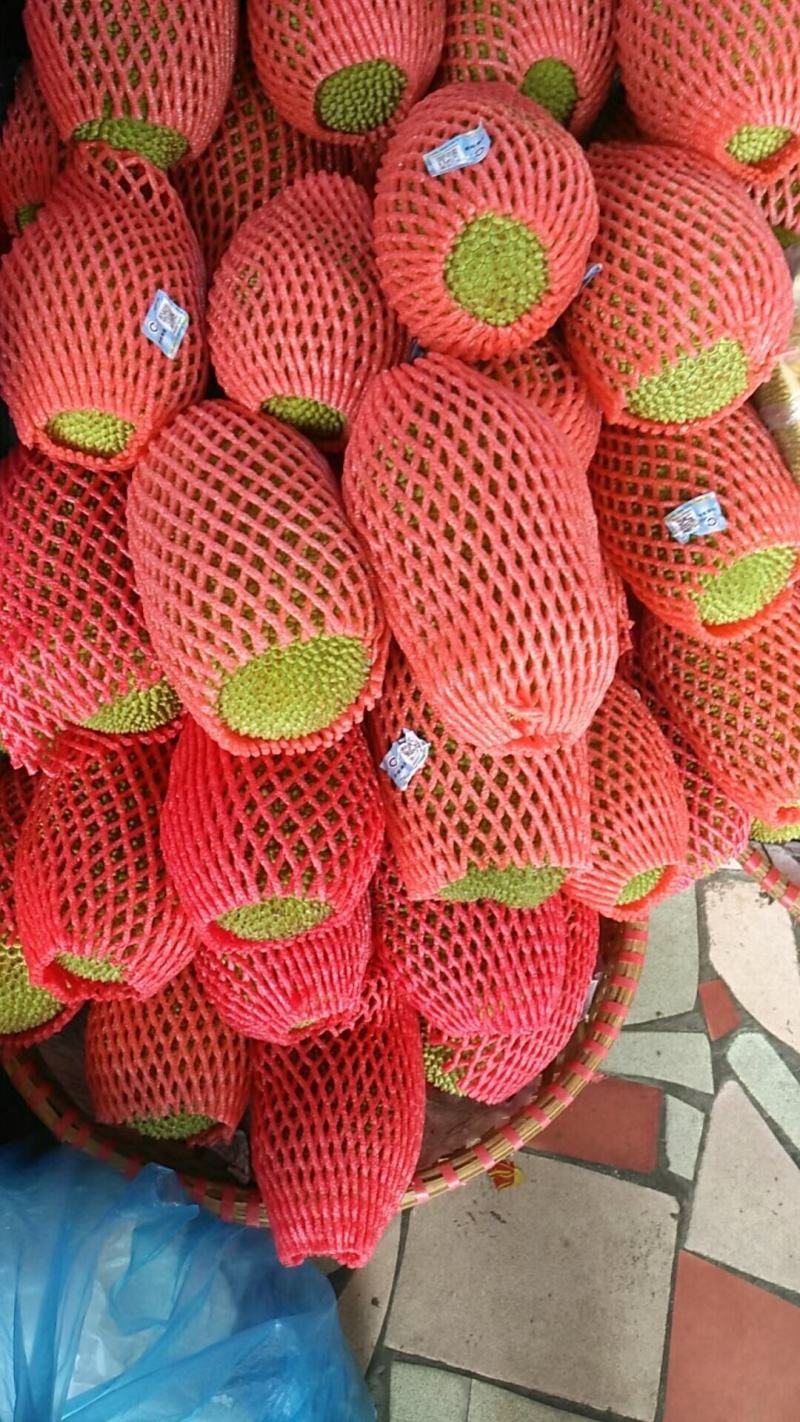 越南现摘迷你菠萝蜜榴莲蜜尖蜜拉质量保证甜糯果园直发