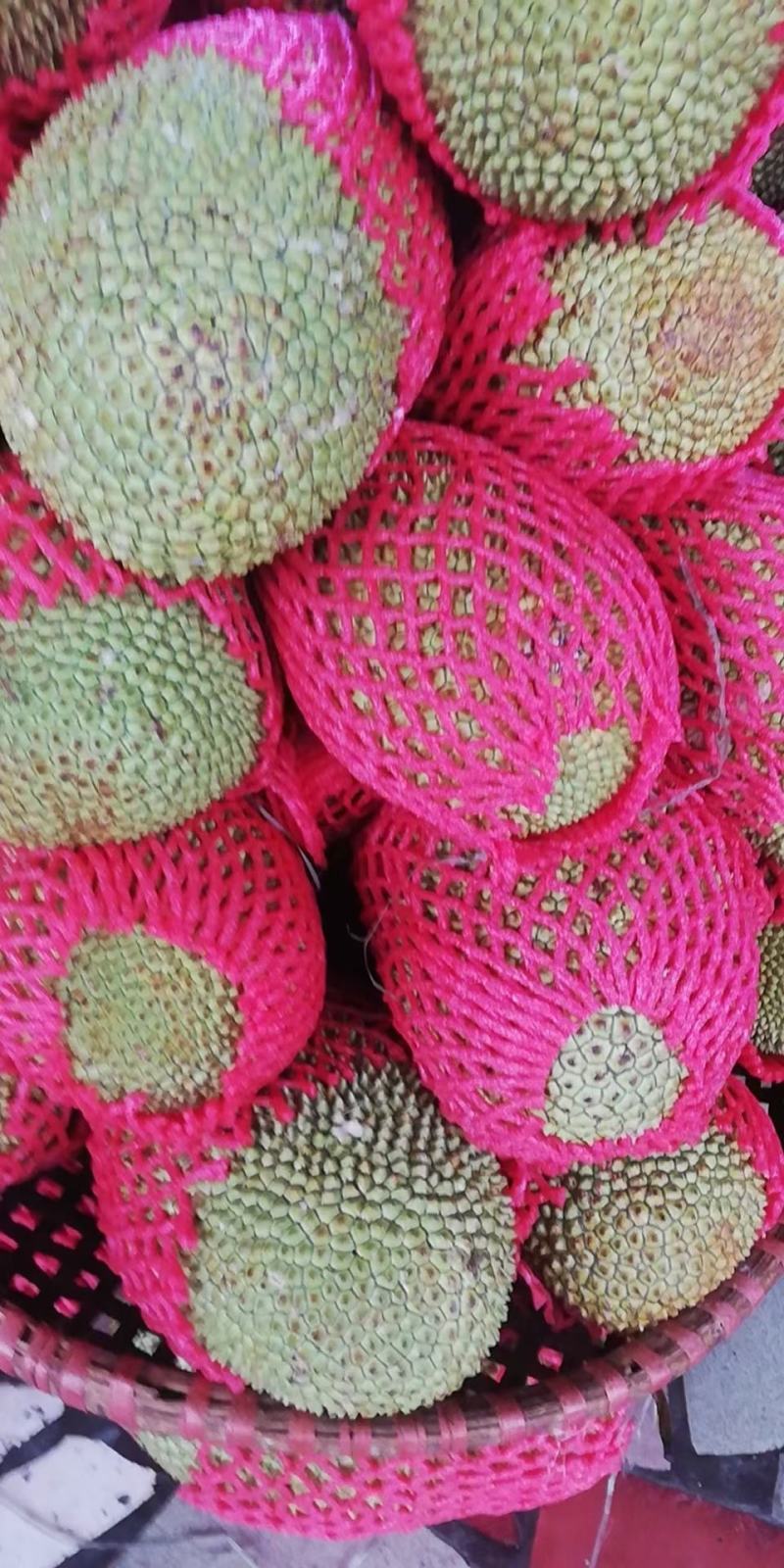 越南现摘迷你菠萝蜜榴莲蜜尖蜜拉质量保证甜糯果园直发