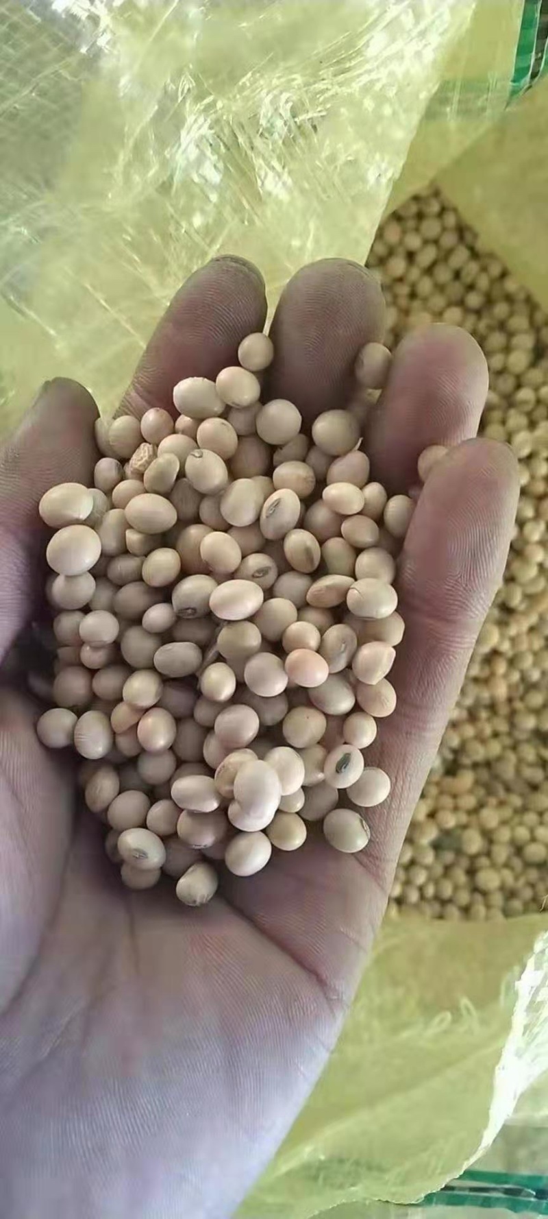 热销进口精品集装箱美湾，高质量高品质，速来订购哦！