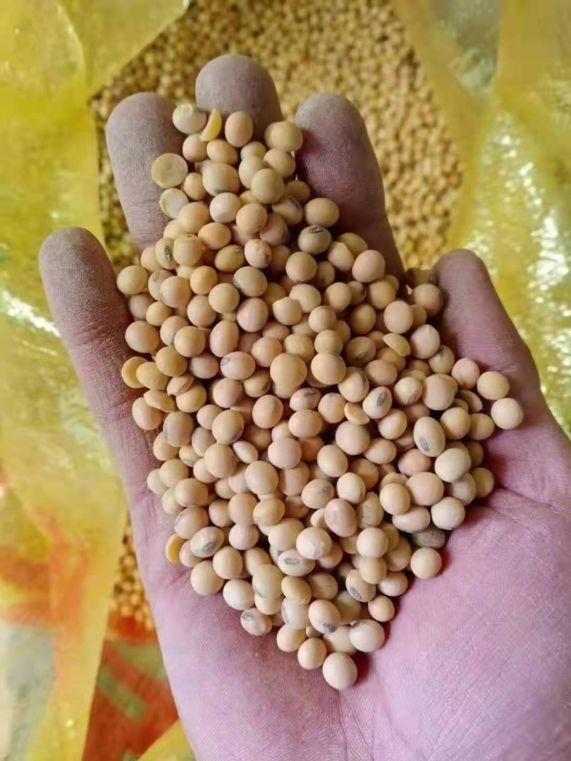 热销进口精品集装箱美湾，高质量高品质，速来订购哦！