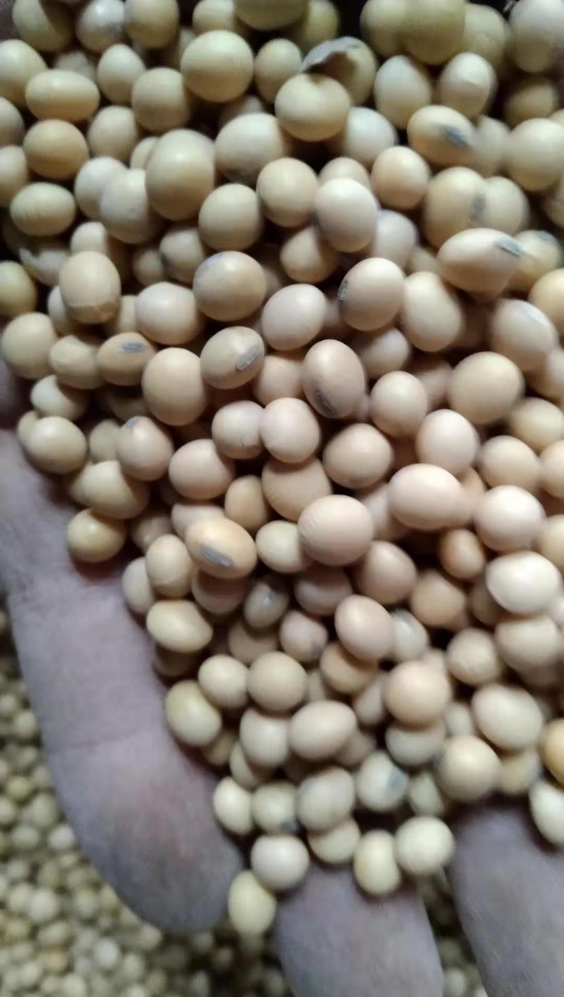 热销进口精品集装箱美湾，高质量高品质，速来订购哦！