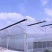 生产加工：养殖大棚种植大棚日光暖棚连栋大棚