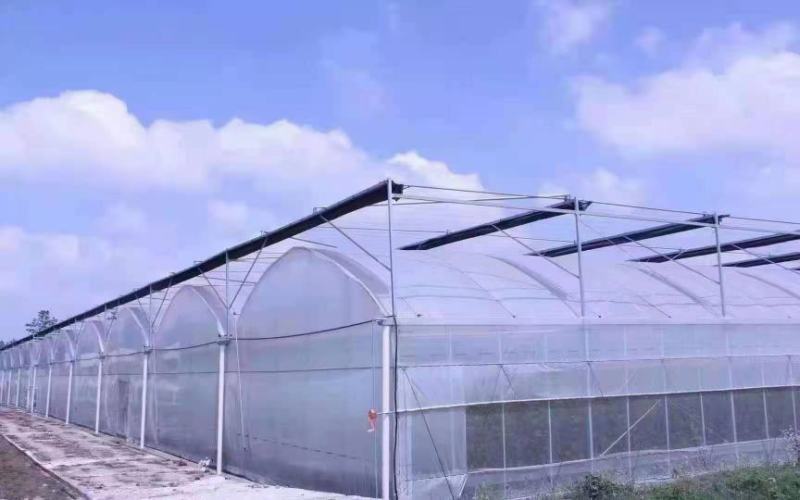 生产加工：养殖大棚种植大棚日光暖棚连栋大棚