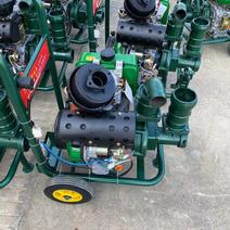 186/192柴油一体泵双叶轮高压喷灌泵喷灌专用水泵
