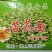 河北坝上草原苦荞面（速食面）非油炸下单就包邮