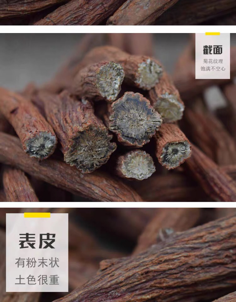 丹参野生丹参紫丹参条丹参粉丹参条足干产地直销