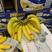 金黄特价香蕉可发全国的货高中低档品质有售后