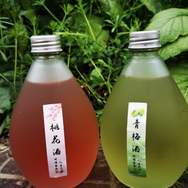 水果酒.桃花，玫瑰，青梅