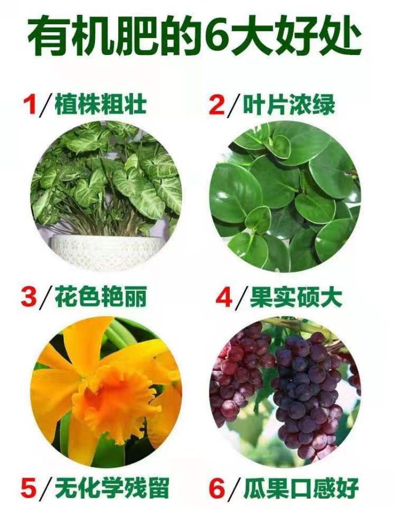 磷酸二氢钾催花保花保果中国质量信用AAA级企业