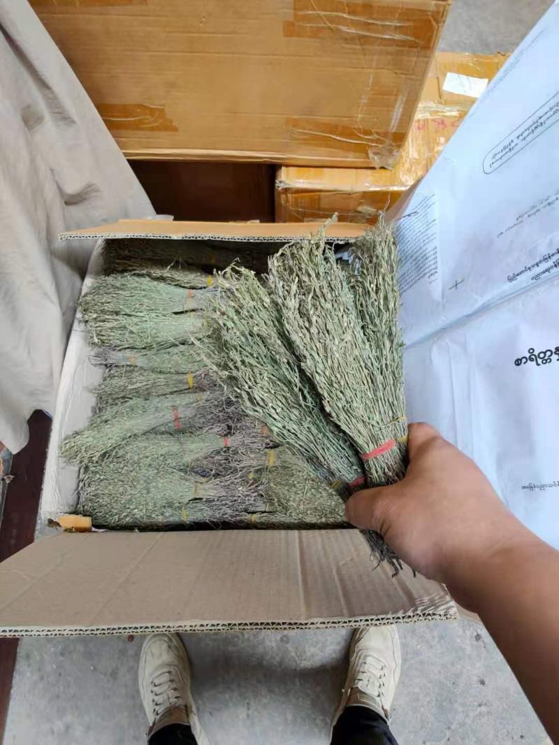 独脚金2021年新货野生缅甸云南独脚金500克