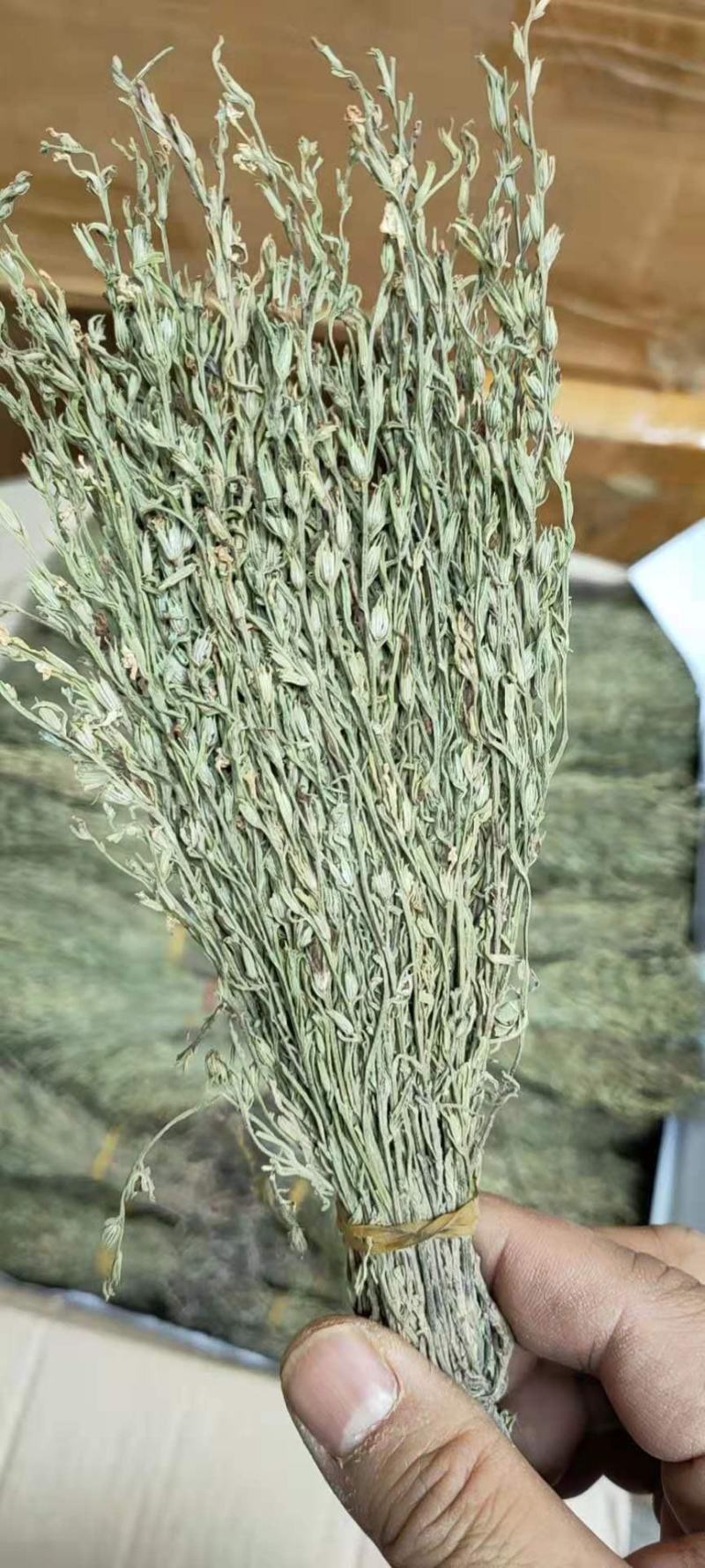 独脚金2021年新货野生缅甸云南独脚金500克