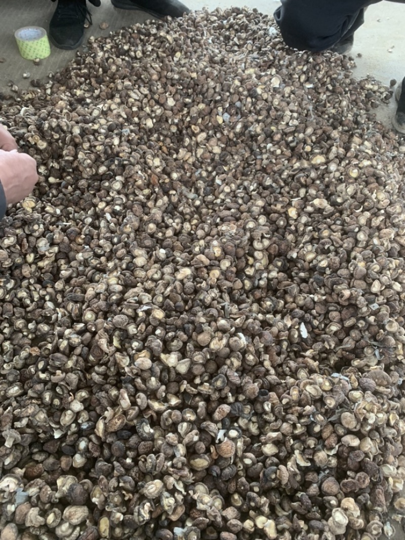 【上等好货】干香菇精选1.5-3香菇肉厚一手货源商家推荐
