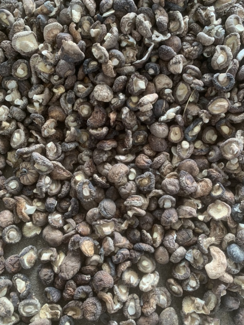 【上等好货】干香菇精选1.5-3香菇肉厚一手货源商家推荐