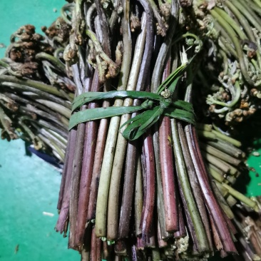 大量的高山优质野生蕨菜，找稳定的加工厂合作