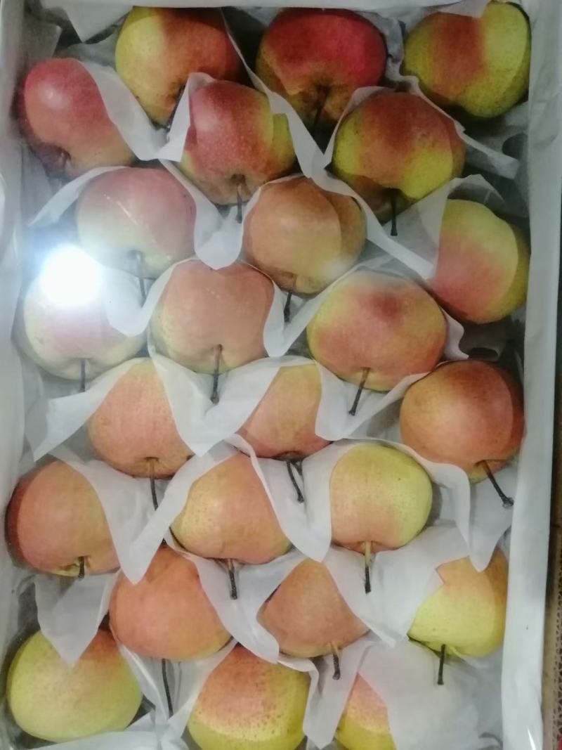 苹果梨质量保证口感甜脆皮毛增靓货品齐全