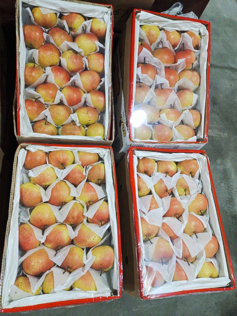 苹果梨质量保证口感甜脆皮毛增靓货品齐全
