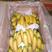 河北邯郸香蕉，广东云南海南，全国供应。常年有货。