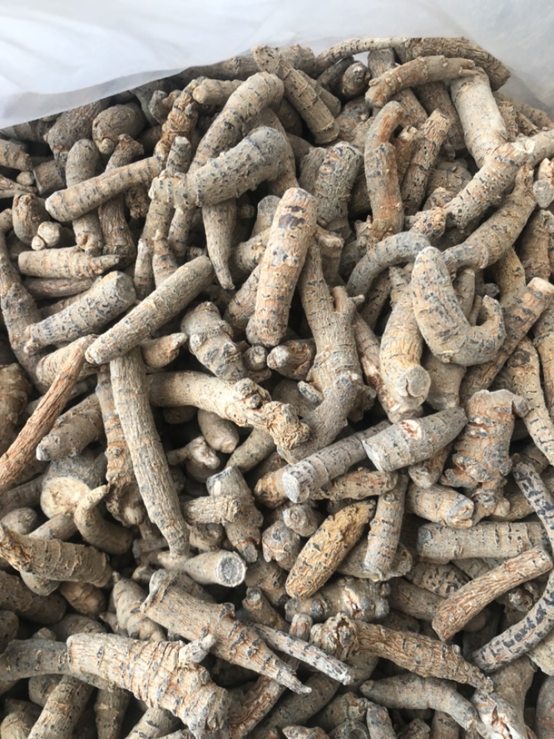 四年大茎条四年三七粗条水洗洗干三七根条