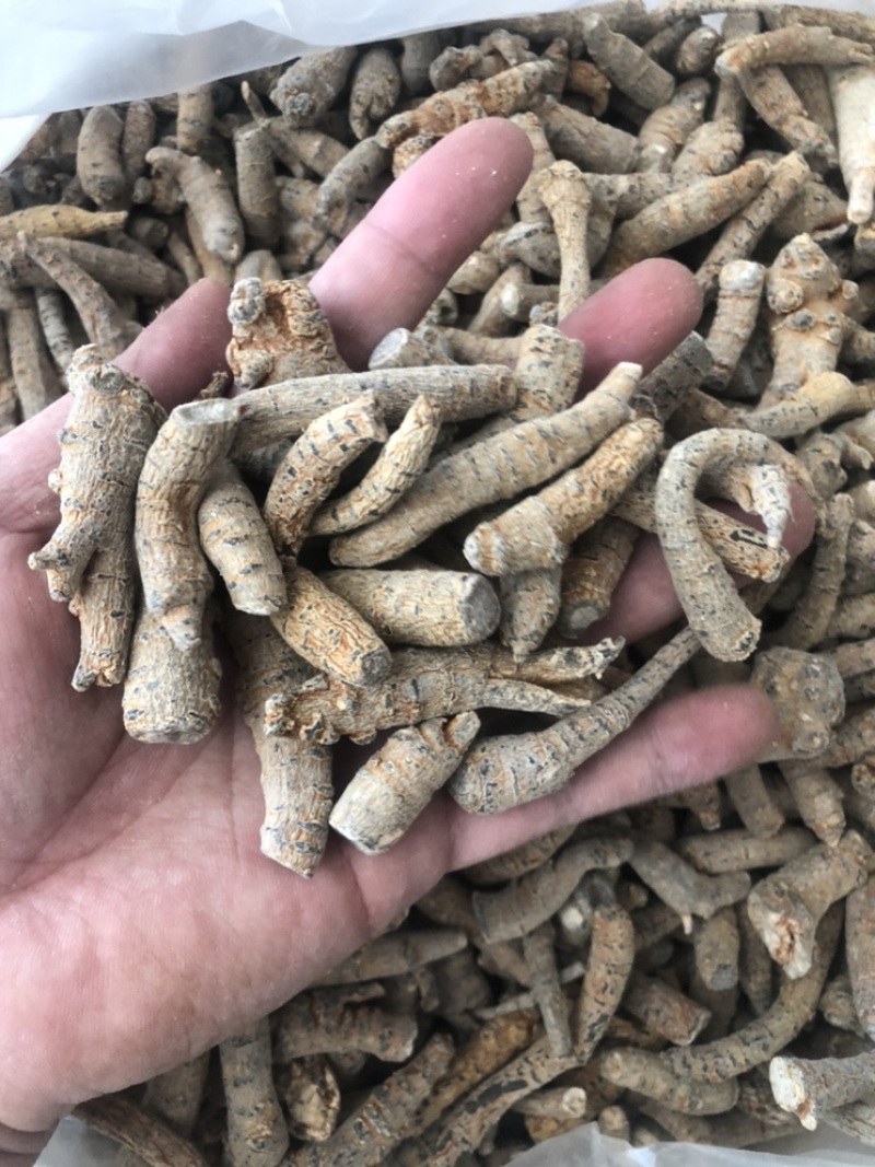 四年大茎条四年三七粗条水洗洗干三七根条