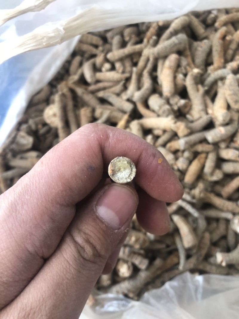 四年大茎条四年三七粗条水洗洗干三七根条