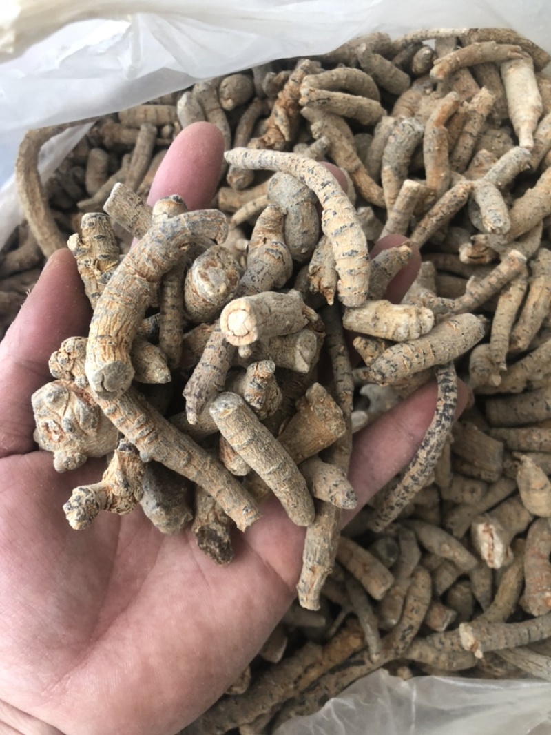 四年大茎条四年三七粗条水洗洗干三七根条