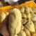 泰国猫山王榴莲金枕榴莲批发一件代发huo果园直发