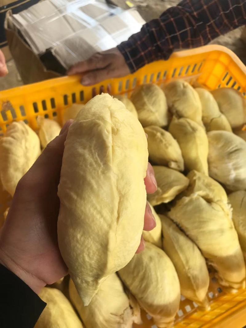泰国猫山王榴莲金枕榴莲批发一件代发huo果园直发