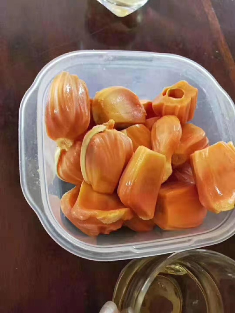 木菠萝马来西亚一号泰国黄肉红肉干苞菠萝蜜苗