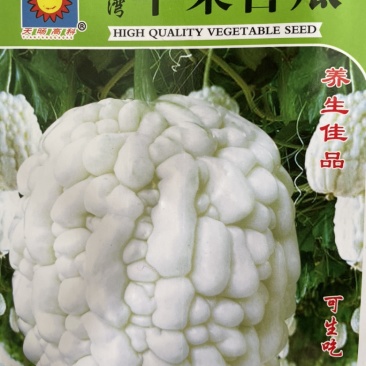 苦瓜种子台湾苹果苦瓜种子，一手货源，厂家直发