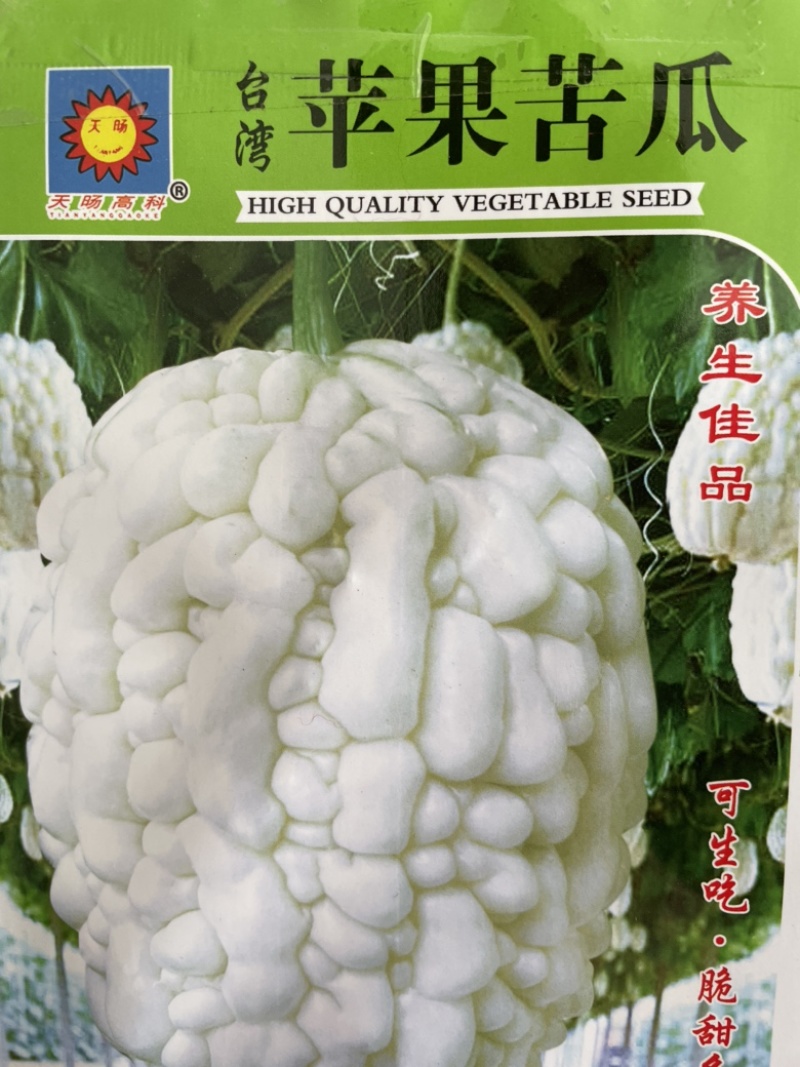 苦瓜种子台湾苹果苦瓜种子，一手货源，厂家直发