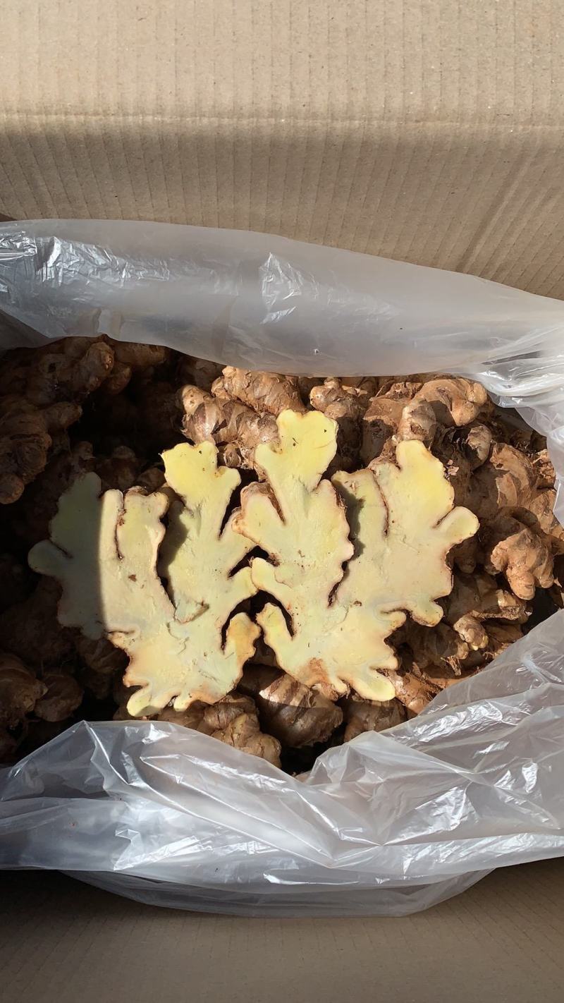 缅甸生态姜，产地直销