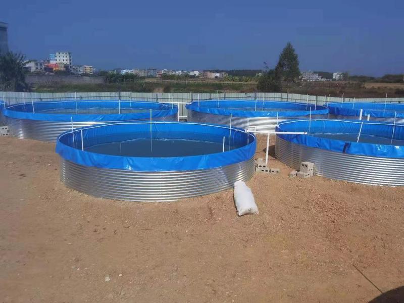 广东水产养殖机械镀锌板高密度养殖水池水产养殖池养殖水箱