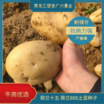 黑龙江望奎广兴薯业出售脱毒种薯品种齐全质量保证价格合理…