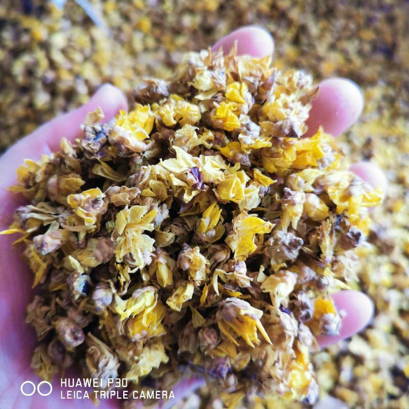腊梅花包邮发货新货量大从优一手货源可常年供应