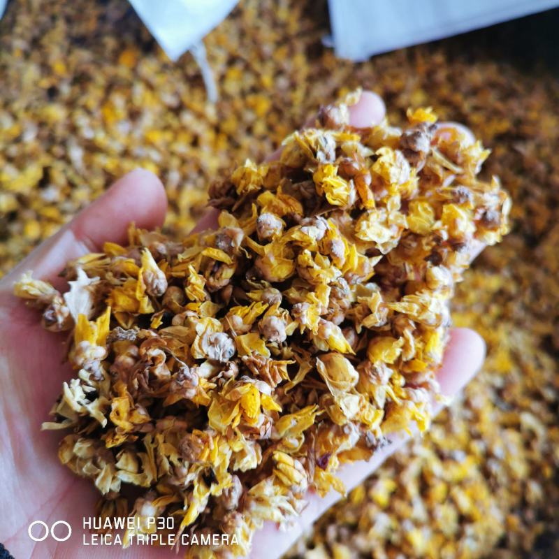 腊梅花包邮发货新货量大从优一手货源可常年供应
