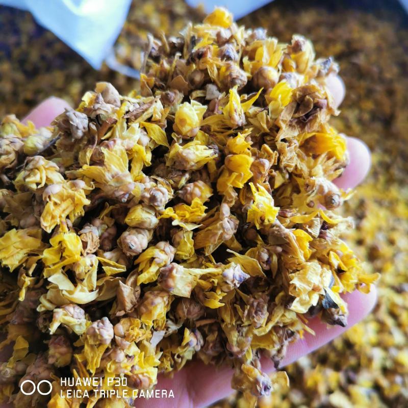 腊梅花包邮发货新货量大从优一手货源可常年供应